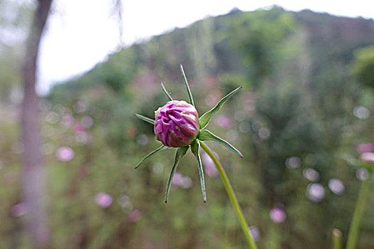thống kê xổ số cần thơ