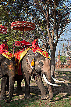 xổ số an giang hàng tuần