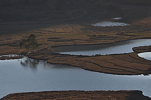 soi cầu thống kê