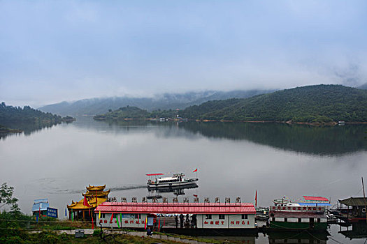 rong bach kim 666 hom nay