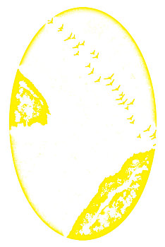 xs g lai