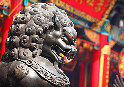 soi cầu lô hôm nay