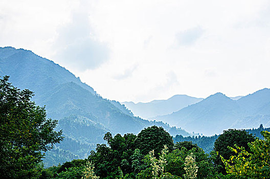 bach thu lo mien bac hom nay