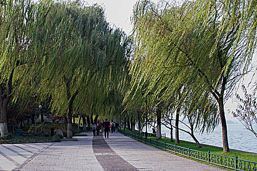 trực tiếp xsmb