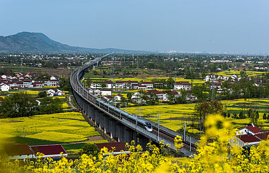 soi cau binh dinh