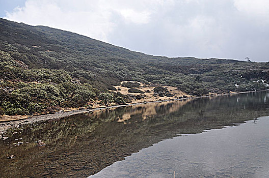 dàn đề hôm nay