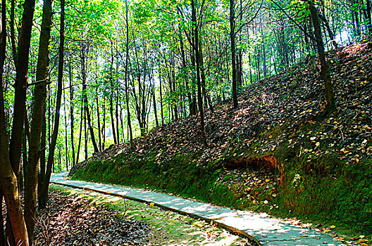 xskt kiên giang