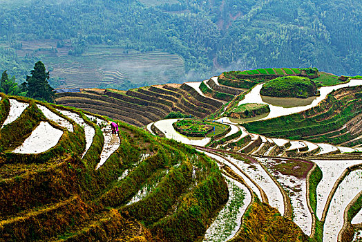xổ số kiên giang tuần trước
