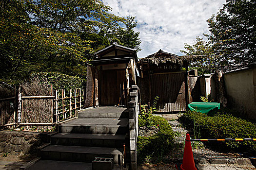 soi cau rong bach kim mien phi