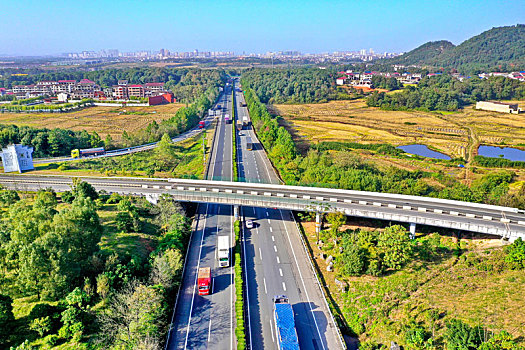 than tai du doan mien nam