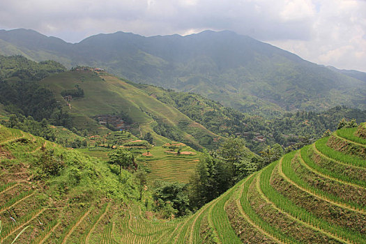 xs 3 đài