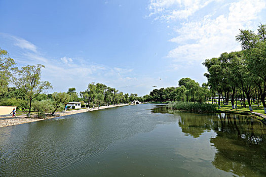 bach thu lo chuan