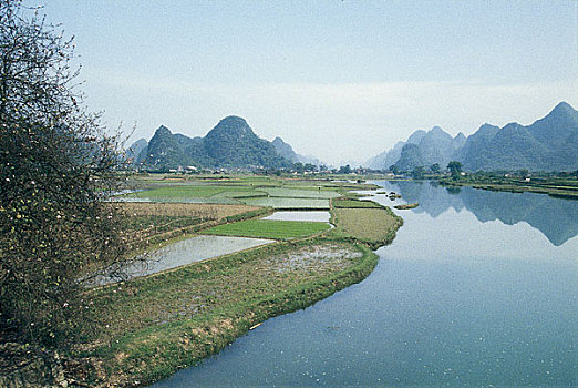 soi cầu xổ số quảng ngãi
