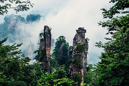 soi câu miền bắc