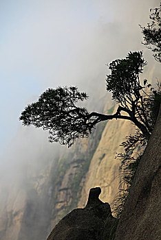 du doan mb rong bach kim