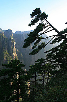 xs quang ninh