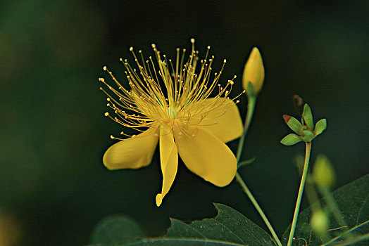 thống kê xổ số khánh hòa