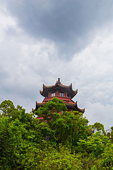 soi cau mien phi 8888